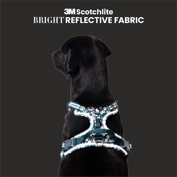 Buy Truelove Floral No Pull Pet Harness for Dogs (Saxony Blue