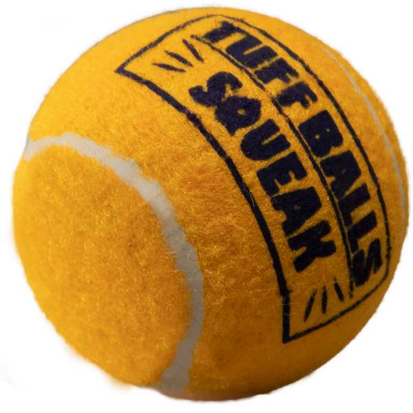 Petsport Tuff Balls Squeak Mesh Toy for Dogs (Orange)