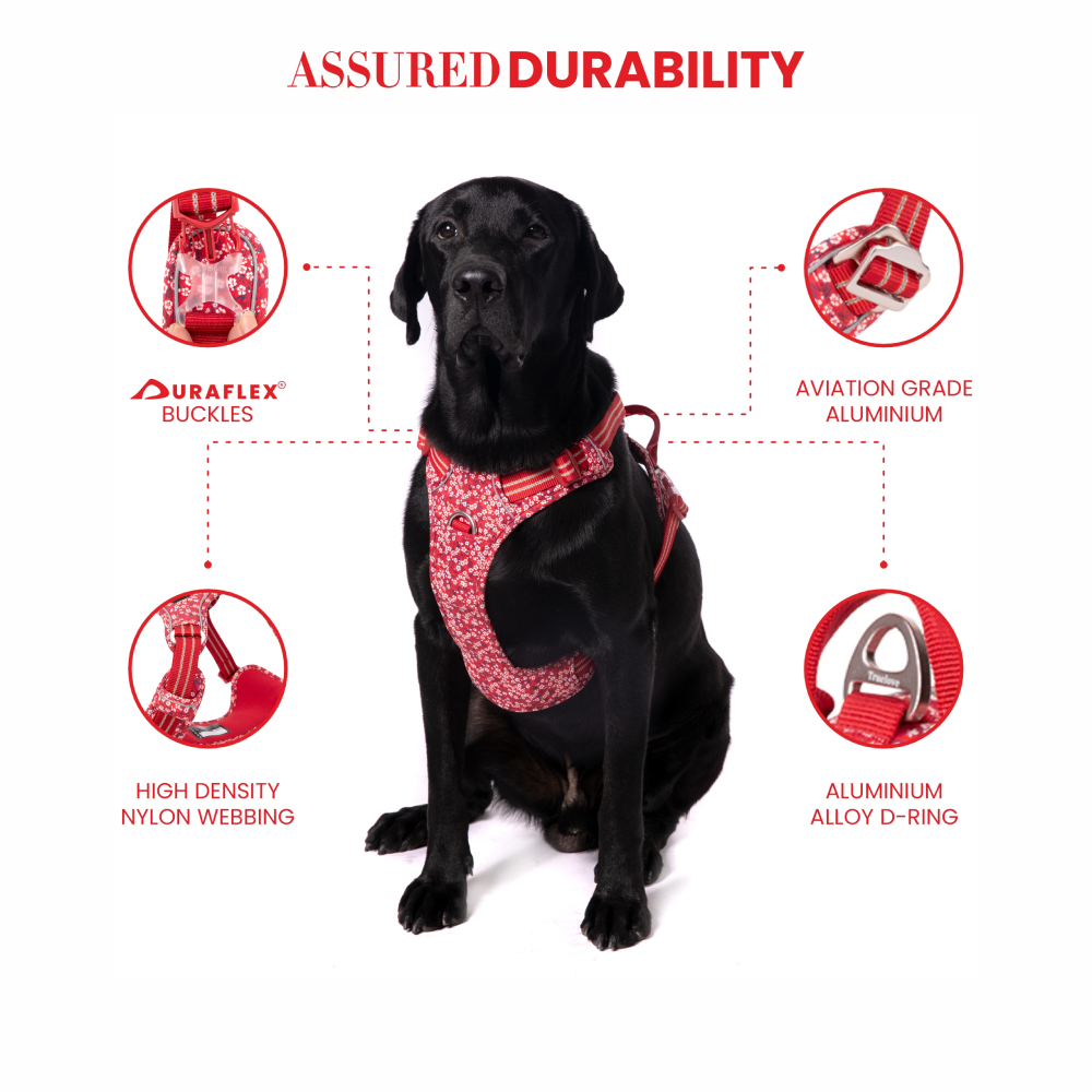 Truelove no pull harness cheap