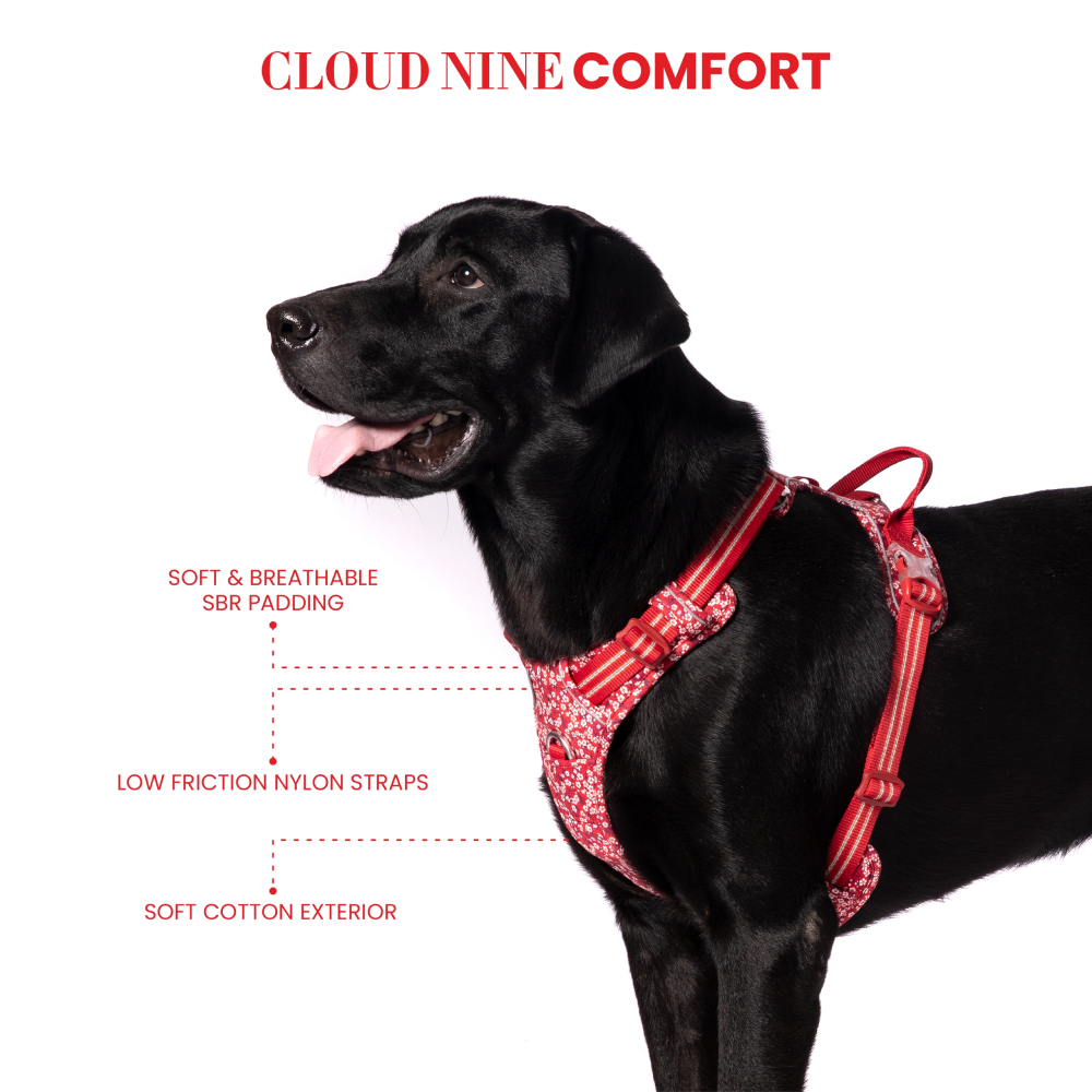 Truelove no pull dog harness hot sale