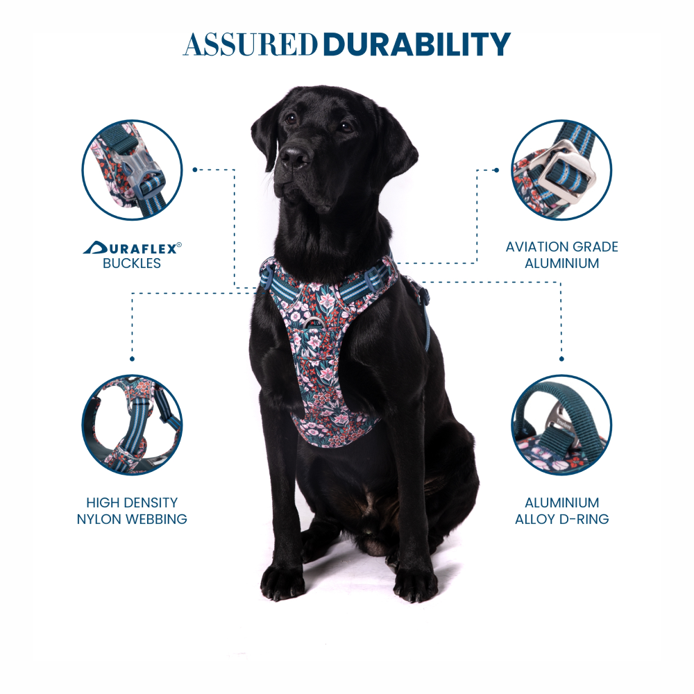 Truelove Floral No Pull Pet Harness for Dogs (Navy Blazer)