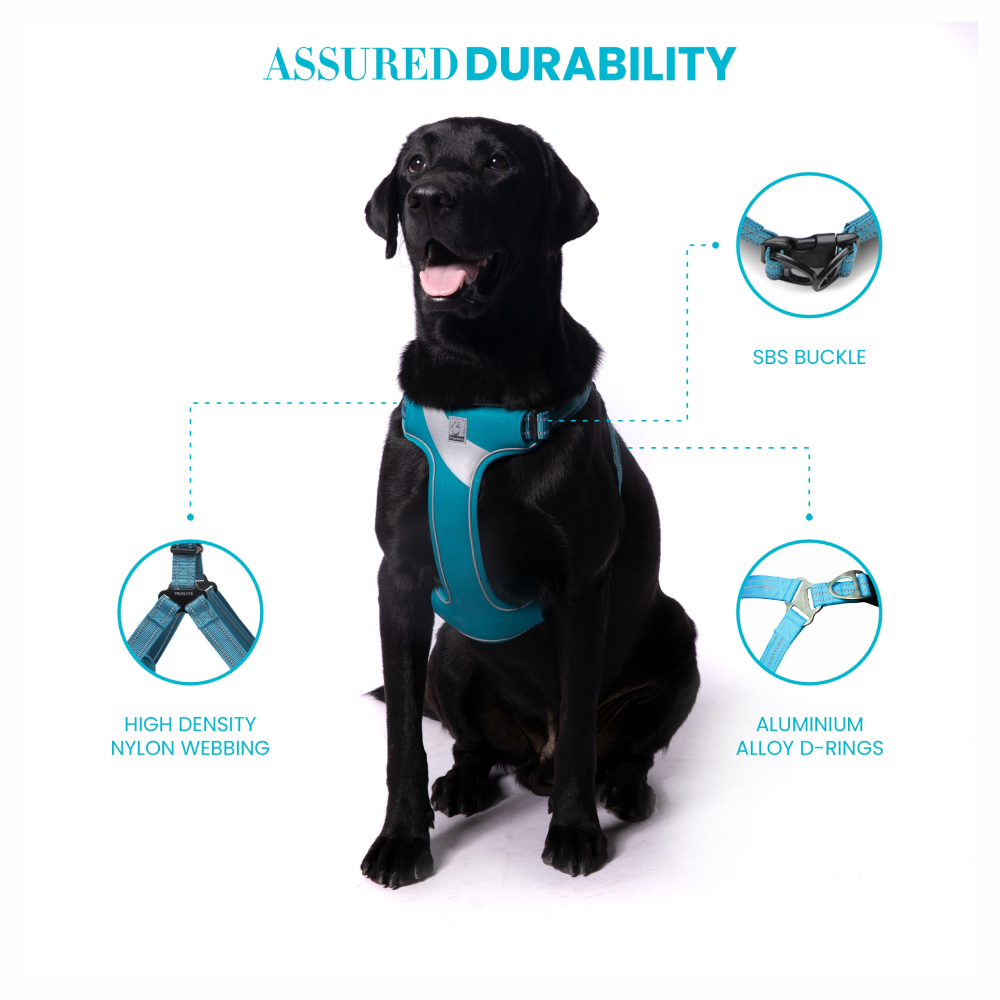 Truelove Step in Harness for Dogs (Blue)