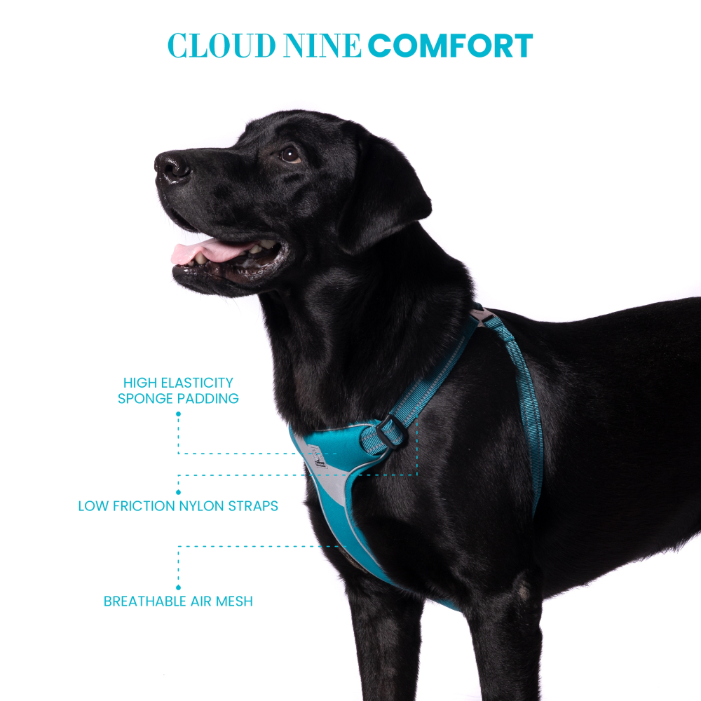 Truelove Step in Harness for Dogs (Blue)