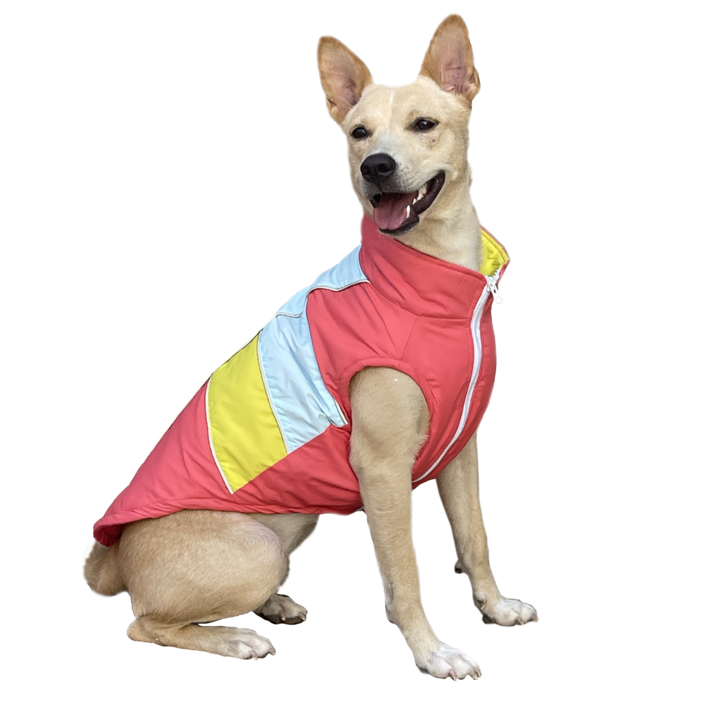 Pets Way Snug Puffer Jacket for Dogs (Coral)