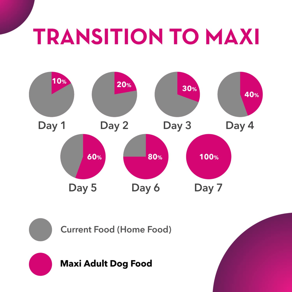 Maxi Adult Chicken and Liver Dog Dry Food