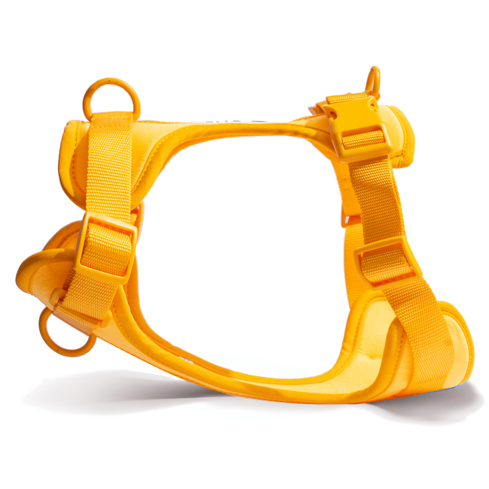 Furry & Co Bold Harness for Dogs (Mango) Dogs-Collar, Leashes, harnesses Furry & Co