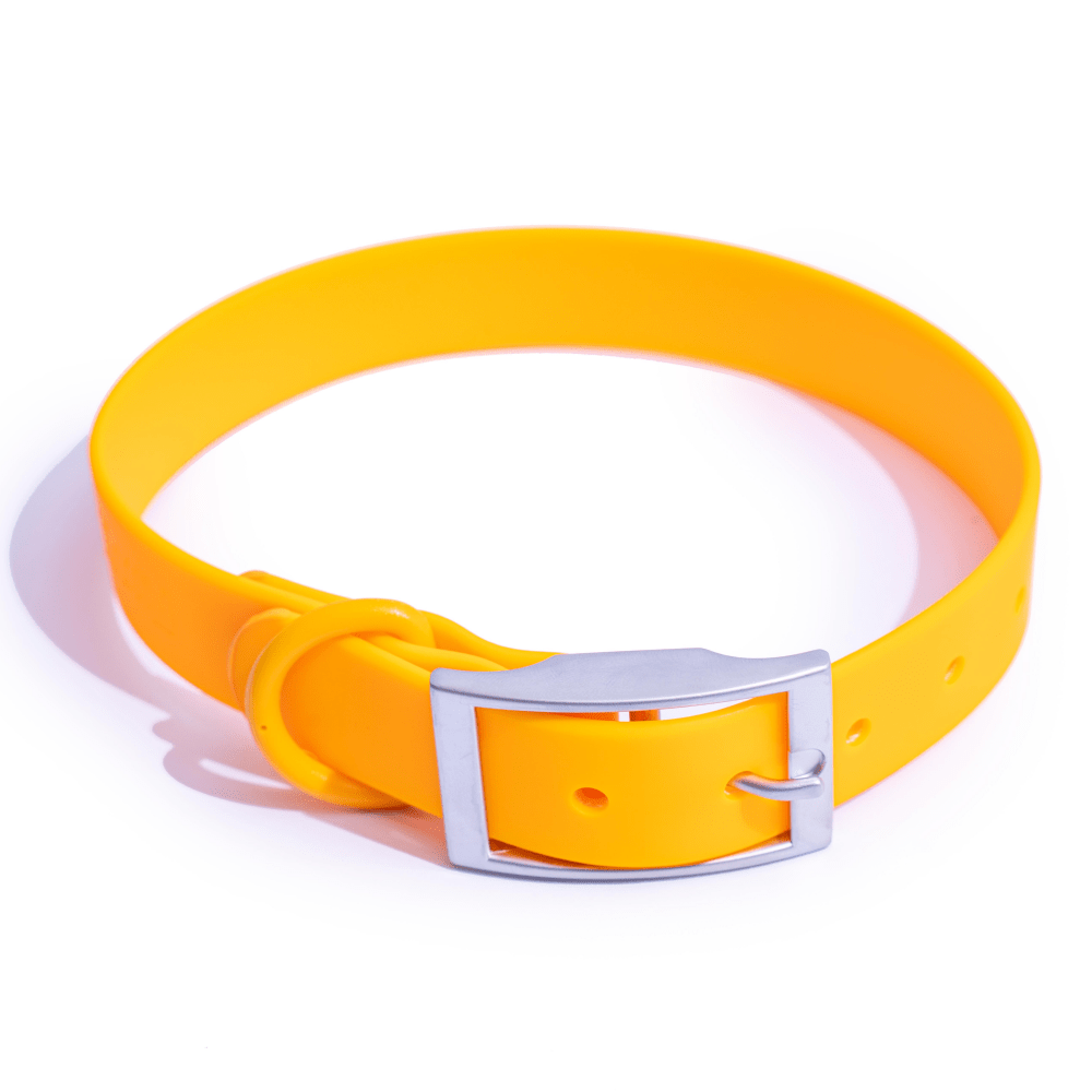 Furry & Co Bold Collar for Dogs (Mango)