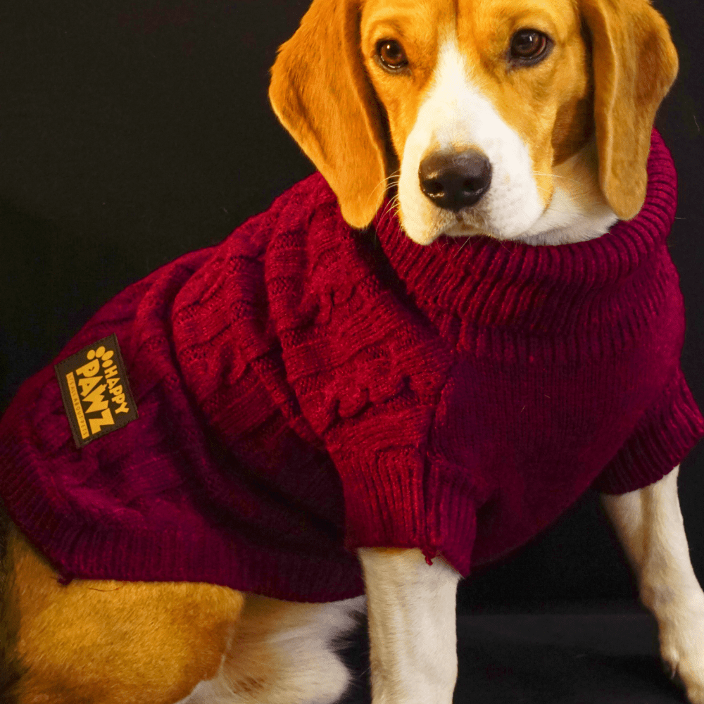 Buy Happy Pawz Classic Cable Knit Sweater for Dogs and Cats Cherry Online Supertails