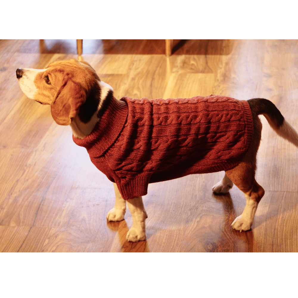 Happy Pawz Chestnut Classic Cable Knit Sweater for Dogs and Cats