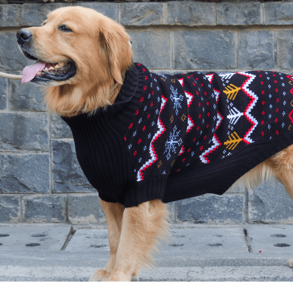 Happy Pawz Color Carnival Jacquard Sweater for Dogs and Cats