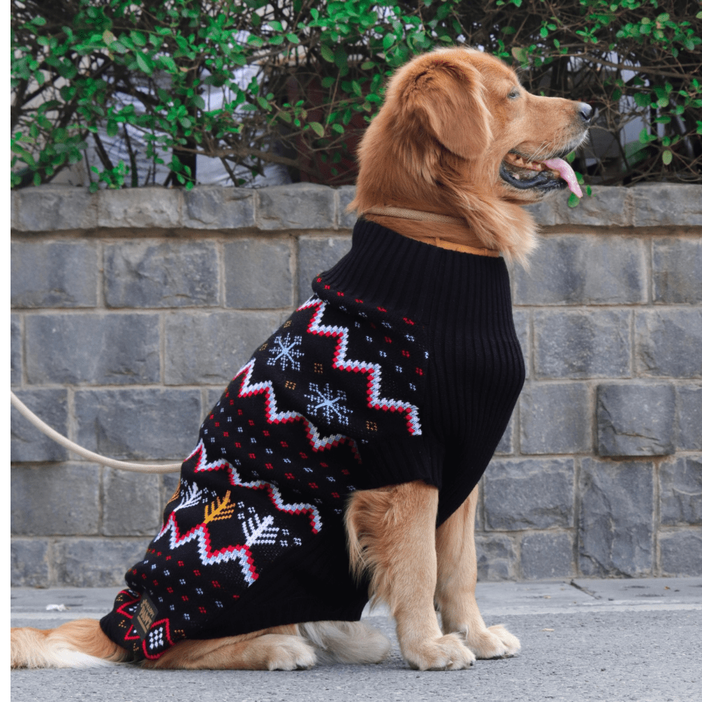 Happy Pawz Color Carnival Jacquard Sweater for Dogs and Cats