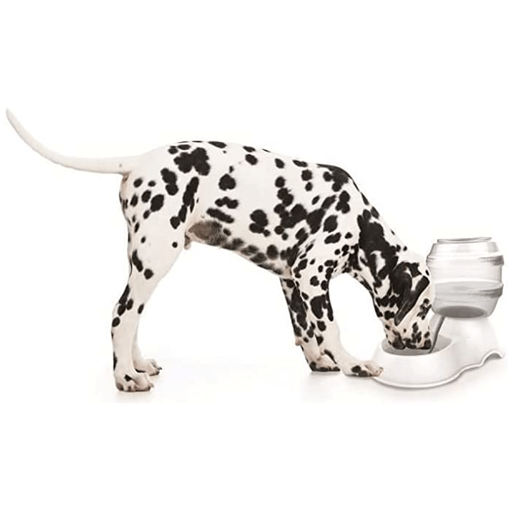 M pets Cylinder Water Dispenser for Dogs and Cats (White)