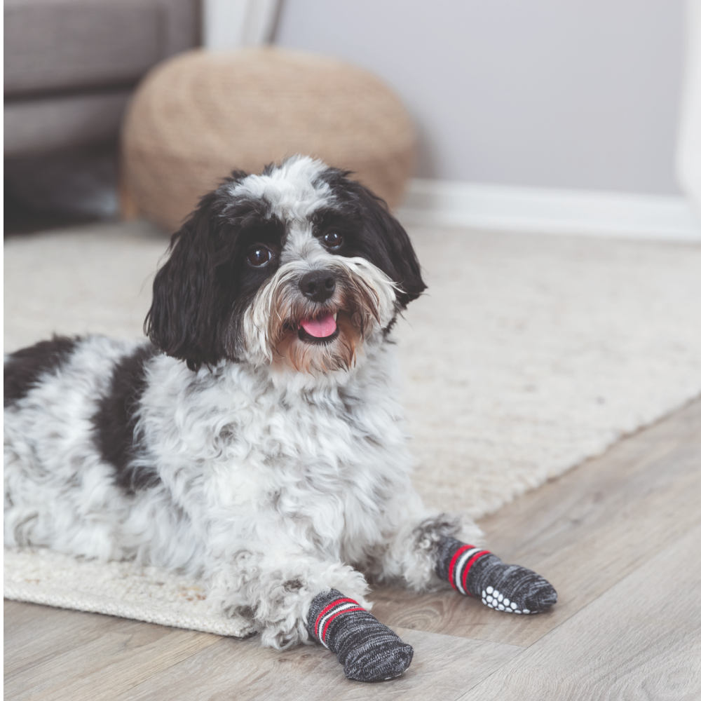 Trixie Non Slip Socks for Dogs (Grey, Set of 4) Dogs-Clothing & Accessories Trixie