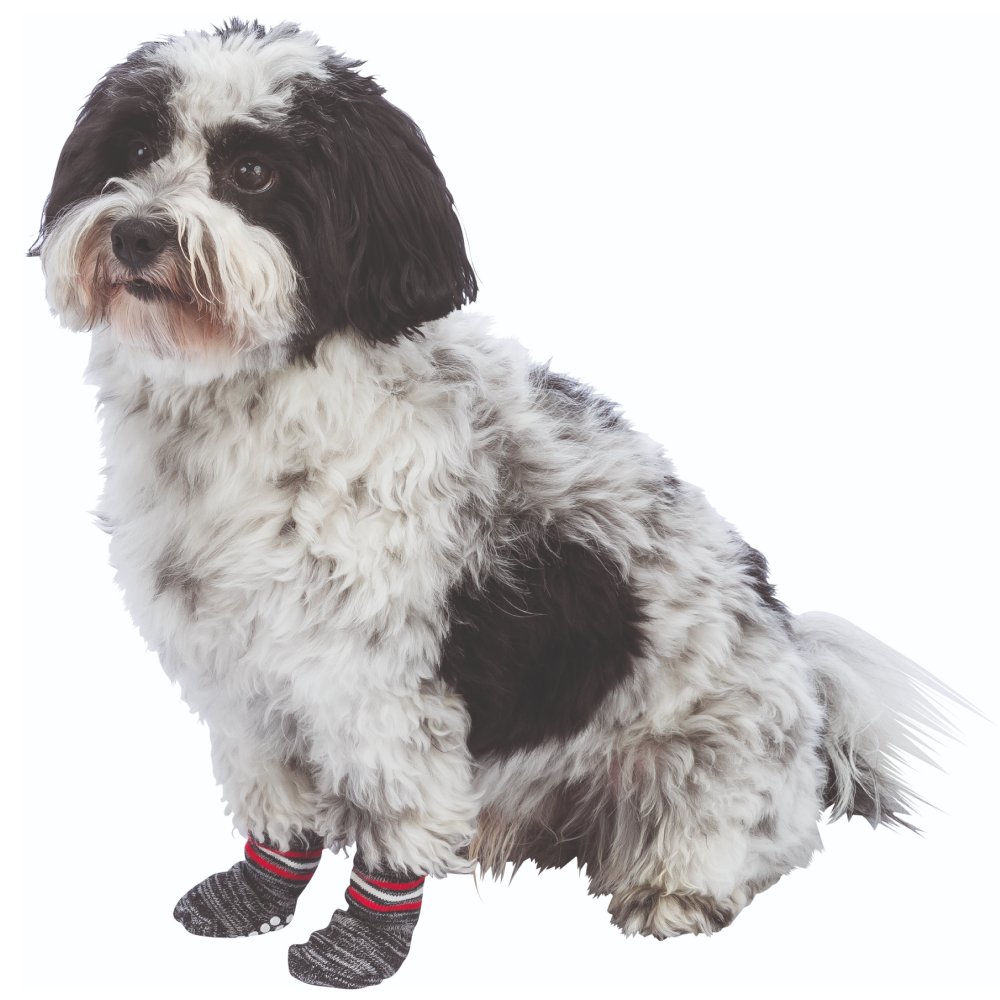 Trixie Non Slip Socks for Dogs (Grey)