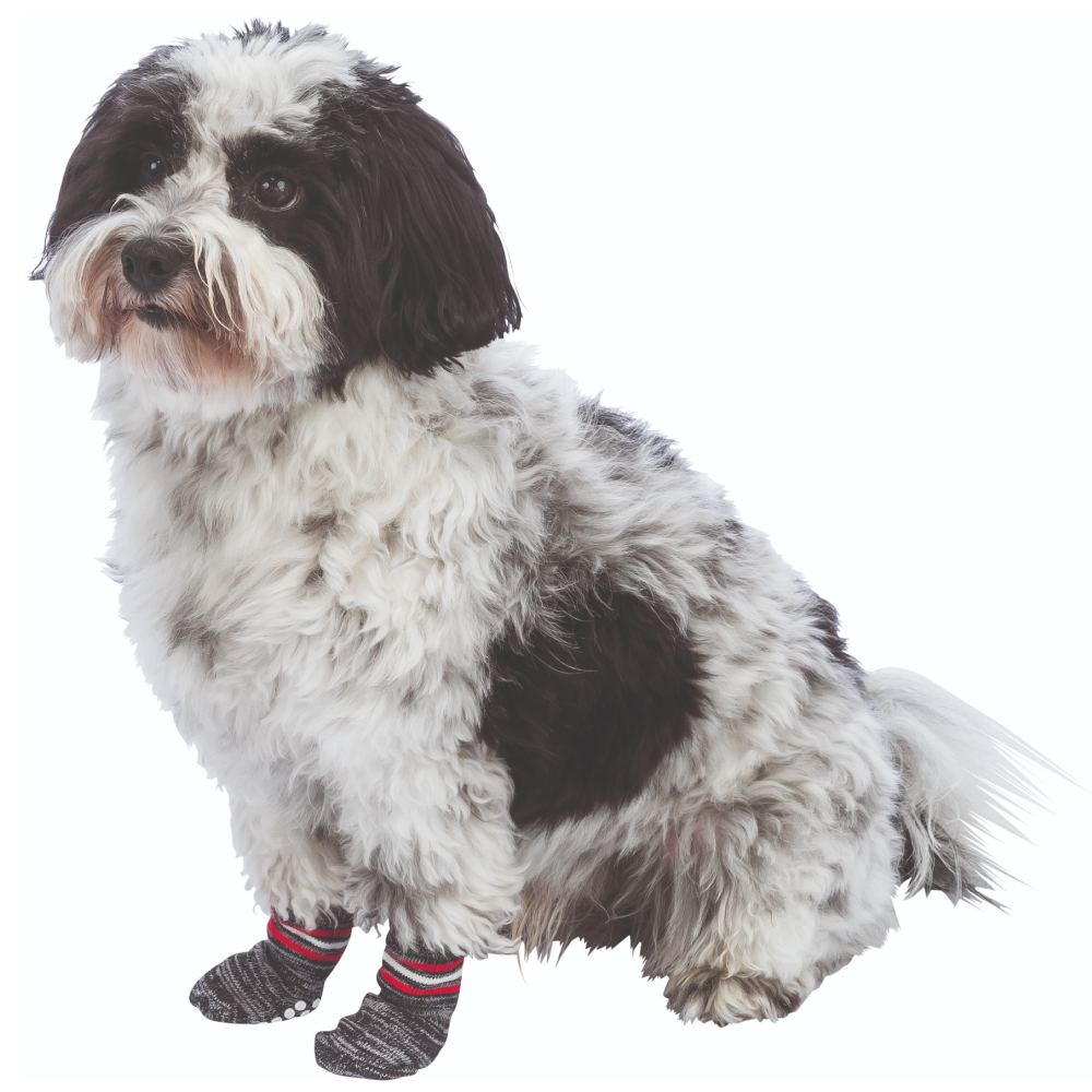 Trixie Non Slip Socks for Dogs (Grey, Set of 4) Dogs-Clothing & Accessories Trixie
