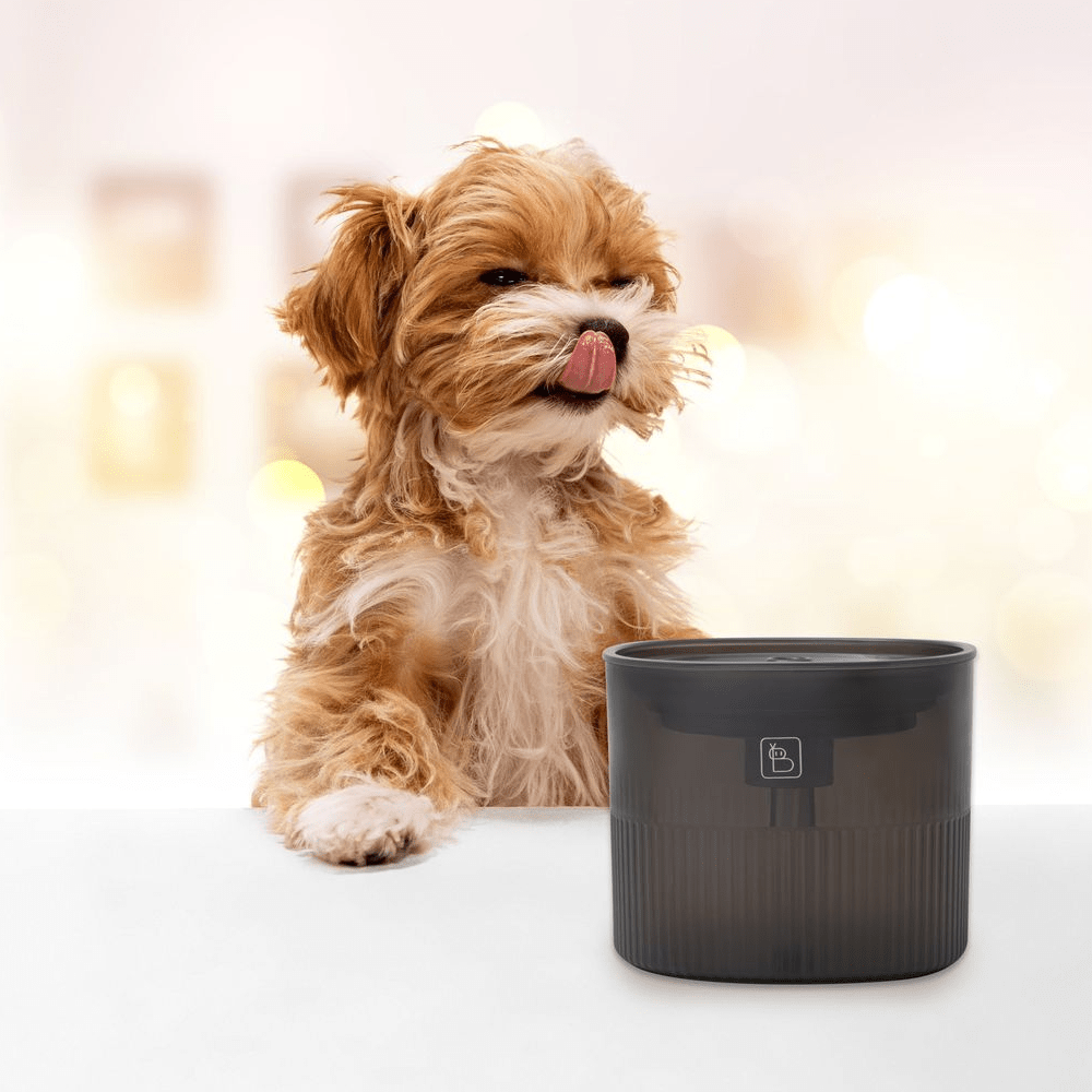 Baybot Water Fountain for Dogs and Cats (Black)