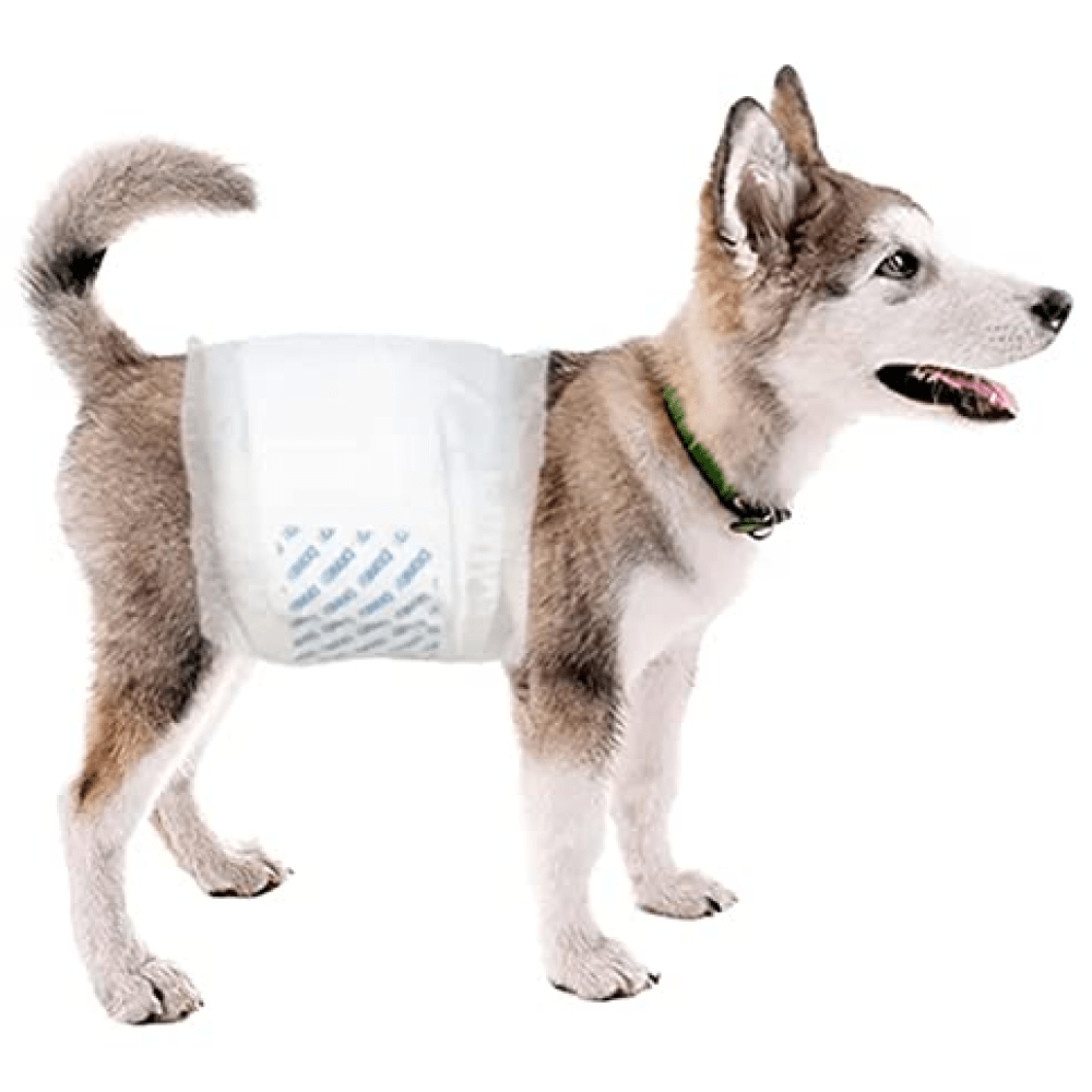 Dono Urinary Incontinence Diaper for Male Dogs