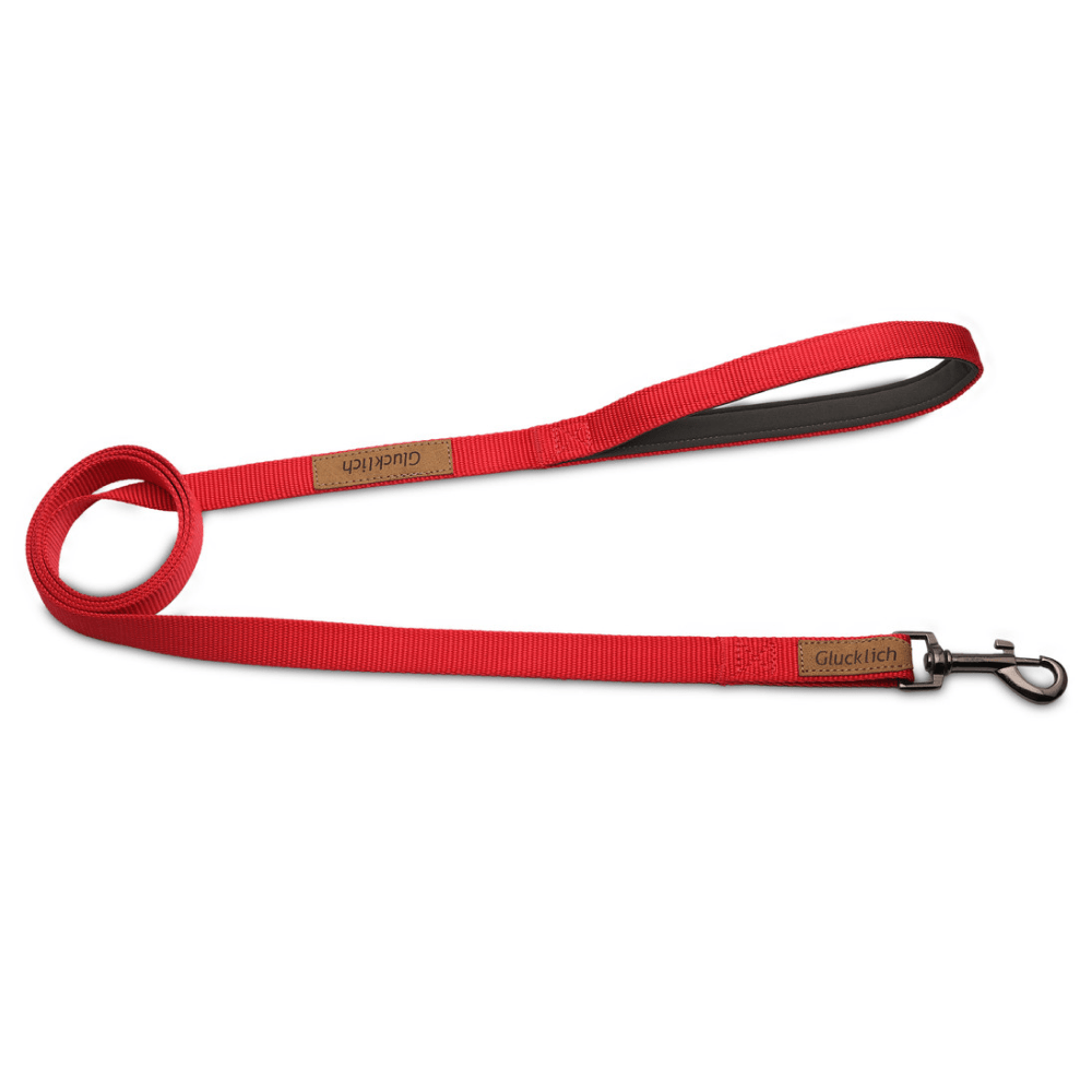 Glucklich Heavy Duty Printed Leash for Dogs (5ft Red)