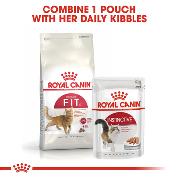 Royal Canin Fit 32 Adult Cat Dry Food