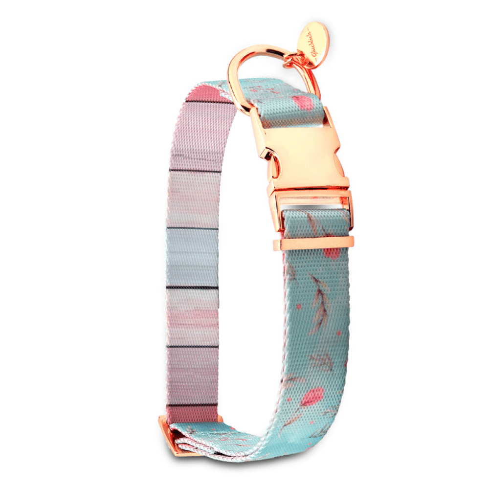 Glucklich Printed Polyester Adjustable Pet Collar for Dogs (Floral Mist)