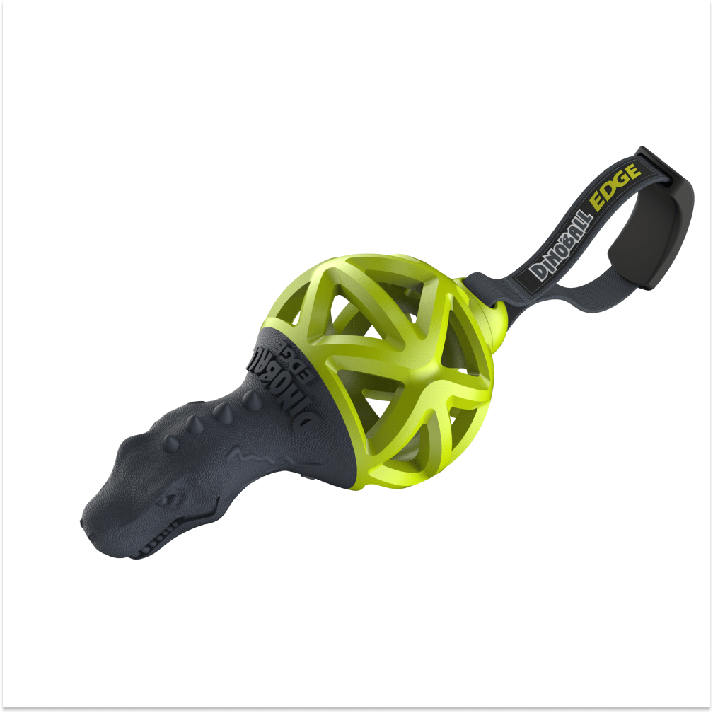Gigwi Dinoball Edge with Strap Chew Toy for Dogs (Green)