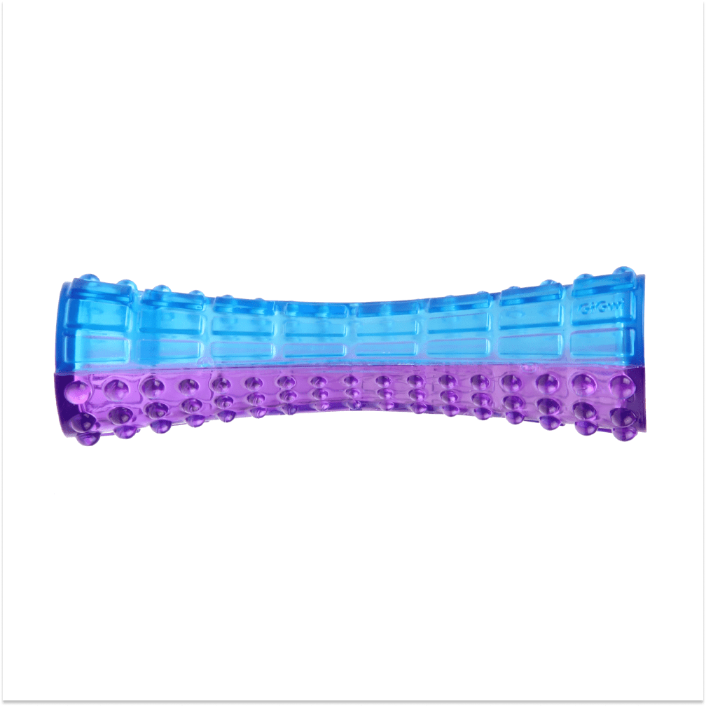 GiGwi Johnny Stick with Squeak for Dogs (Purple/Blue)