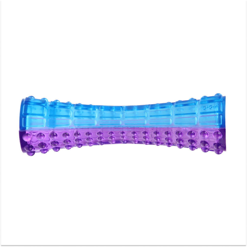 GiGwi Johnny Stick with Squeak for Dogs (Purple/Blue) Dogs-Toys GiGwi 20x5cm