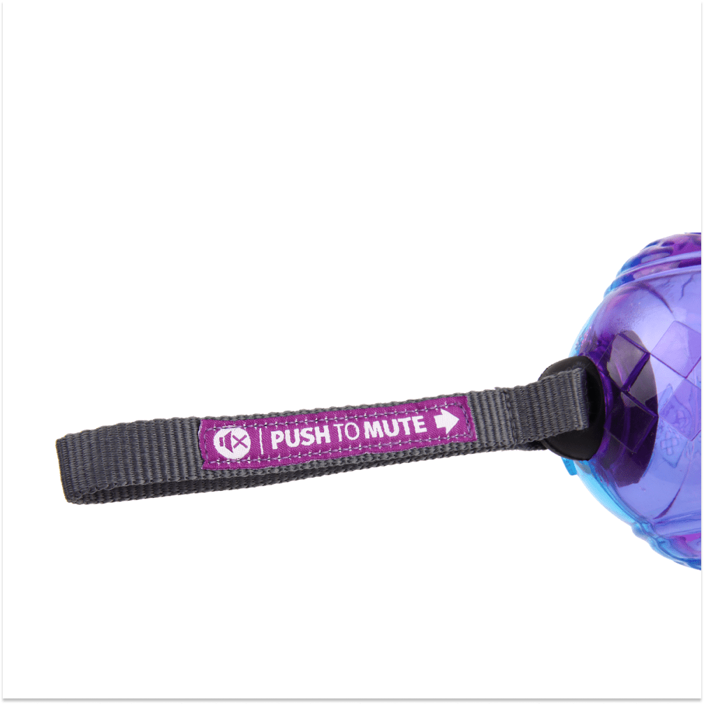 GiGwi Push To Mute Johnny Stick for Dogs (Purple/Blue)