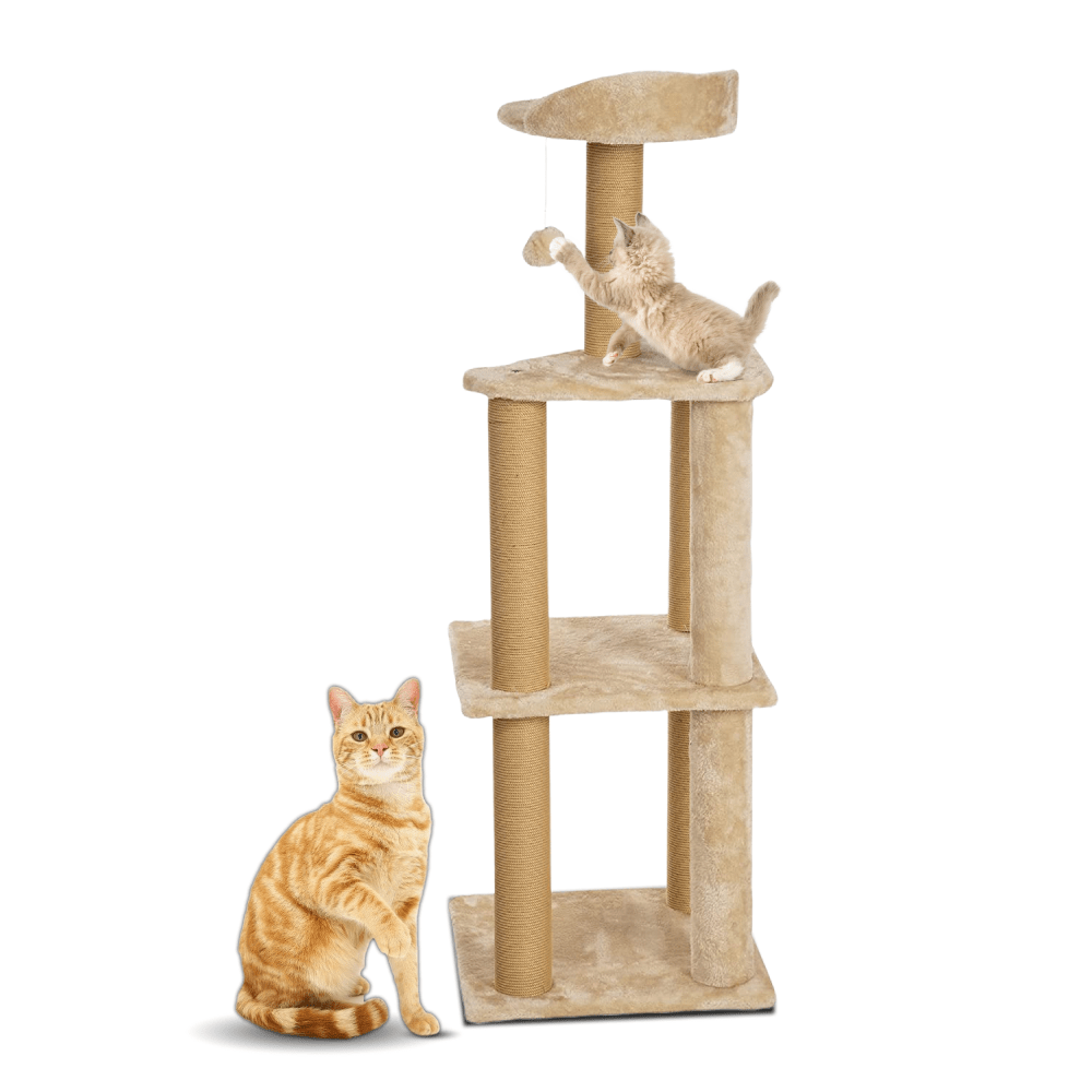 Callas Rio and Me Large Cat Condo with Sisal Scratching Posts for Cats