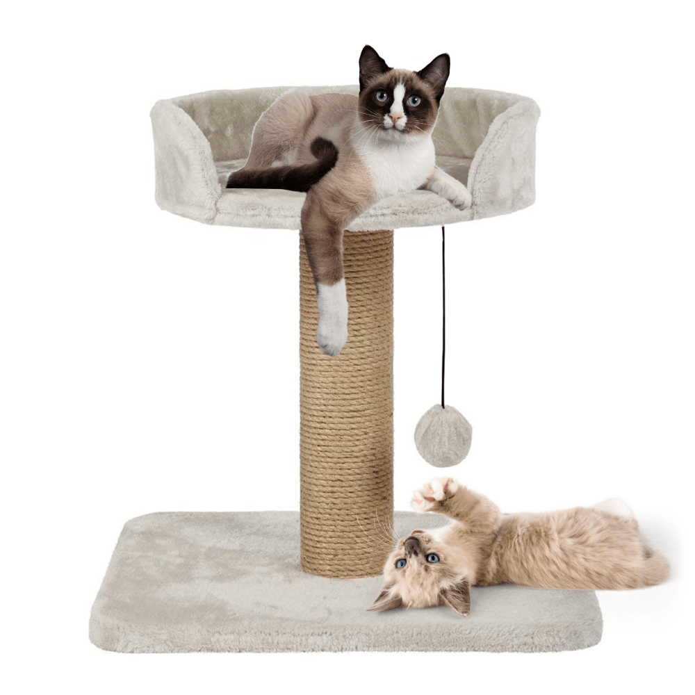 Callas Rio and Me Activity Tree, Cat Scratching Post with Toy for Kittens & Cats