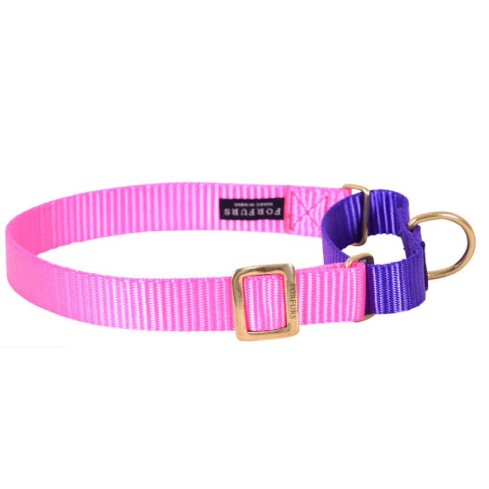 Forfurs Martingale Collar with Brass Fittings for Dogs (Hot Pink x Ultra Violet)