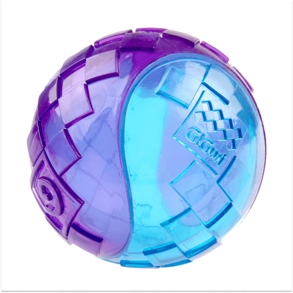 GiGwi Ball Squeaker Toy for Dogs (Blue/Purple) | For Medium Chewers Dogs-Toys GiGwi