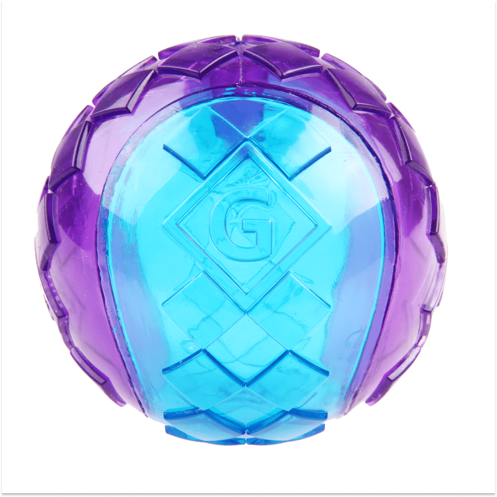 GiGwi Ball Squeaker Toy for Dogs (Blue/Purple) | For Medium Chewers Dogs-Toys GiGwi S