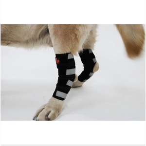 Lana Paws Back Leg Compression Braces for Hock Joint Ankle Support & Mobility for Dogs and Cats (Black)