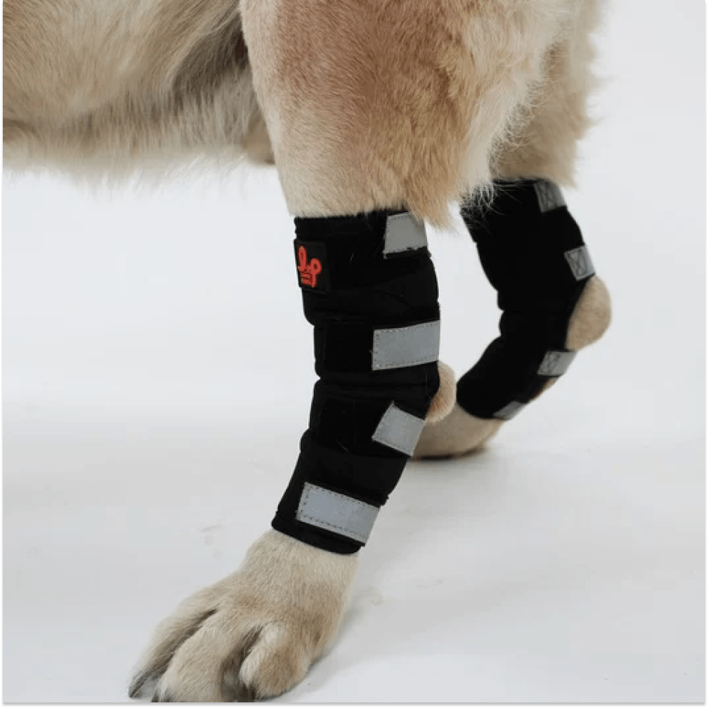 Lana Paws Back Leg Compression Braces for Hock Joint Ankle Support & Mobility for Dogs and Cats (Black)