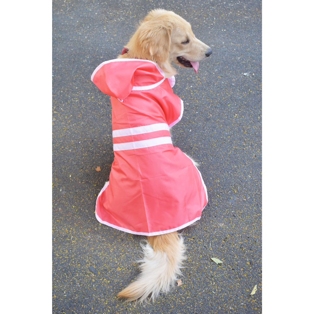 Pet Set Go Raincoat for Dogs (Red)