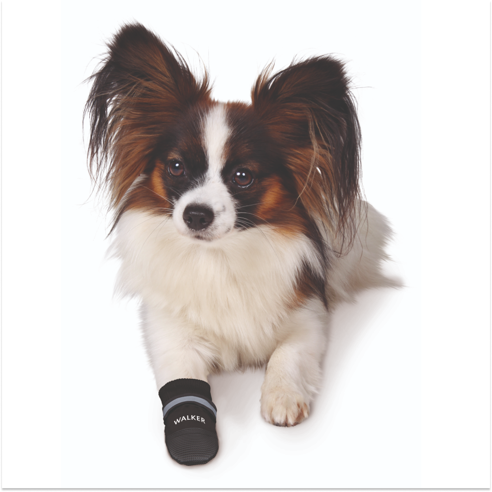 Trixie Walker Care Comfort Protective Boots for Dogs Dogs-Clothing & Accessories Trixie