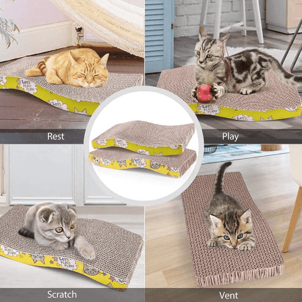 GiGwi Johnny Stick with Catnip & Natural Feathers Toy and Emily Pets Sofa Bed Scratching Pad for Cats and Kittens Combos