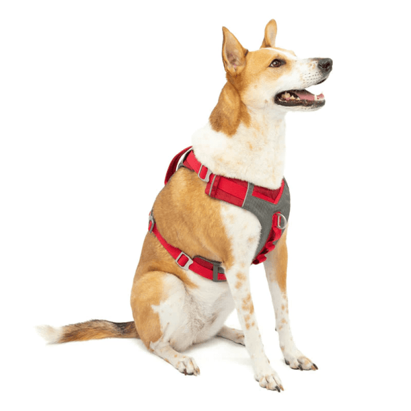 Kurgo Journey Air Harness for Dogs (Barn Red)