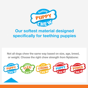 Nylabone Puppy Teething Bacon Flavoured Pacifier Toy for Dogs (Blue/Pink)