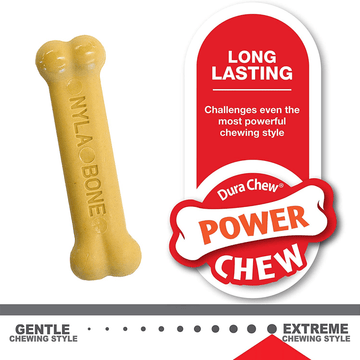 Nylabone Puppy Teething Peanut Butter and Chicken Flavoured Chew and Power Chew Bone Toy for Dog (Brown/Beige) | For Aggressive  Chewers