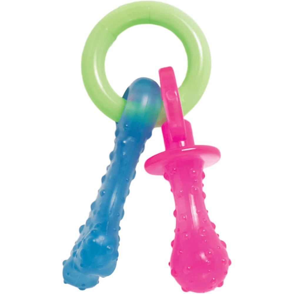 Nylabone Puppy Teething Bacon Flavoured Pacifier Toy for Dogs (Blue/Pink)