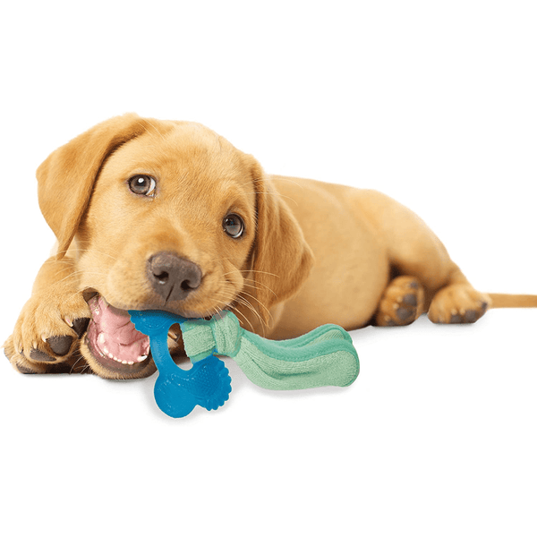 Nylabone Puppy Teething Peanut Butter Flavoured Chew Freezer Bone Toy for Dogs (Blue/Green)