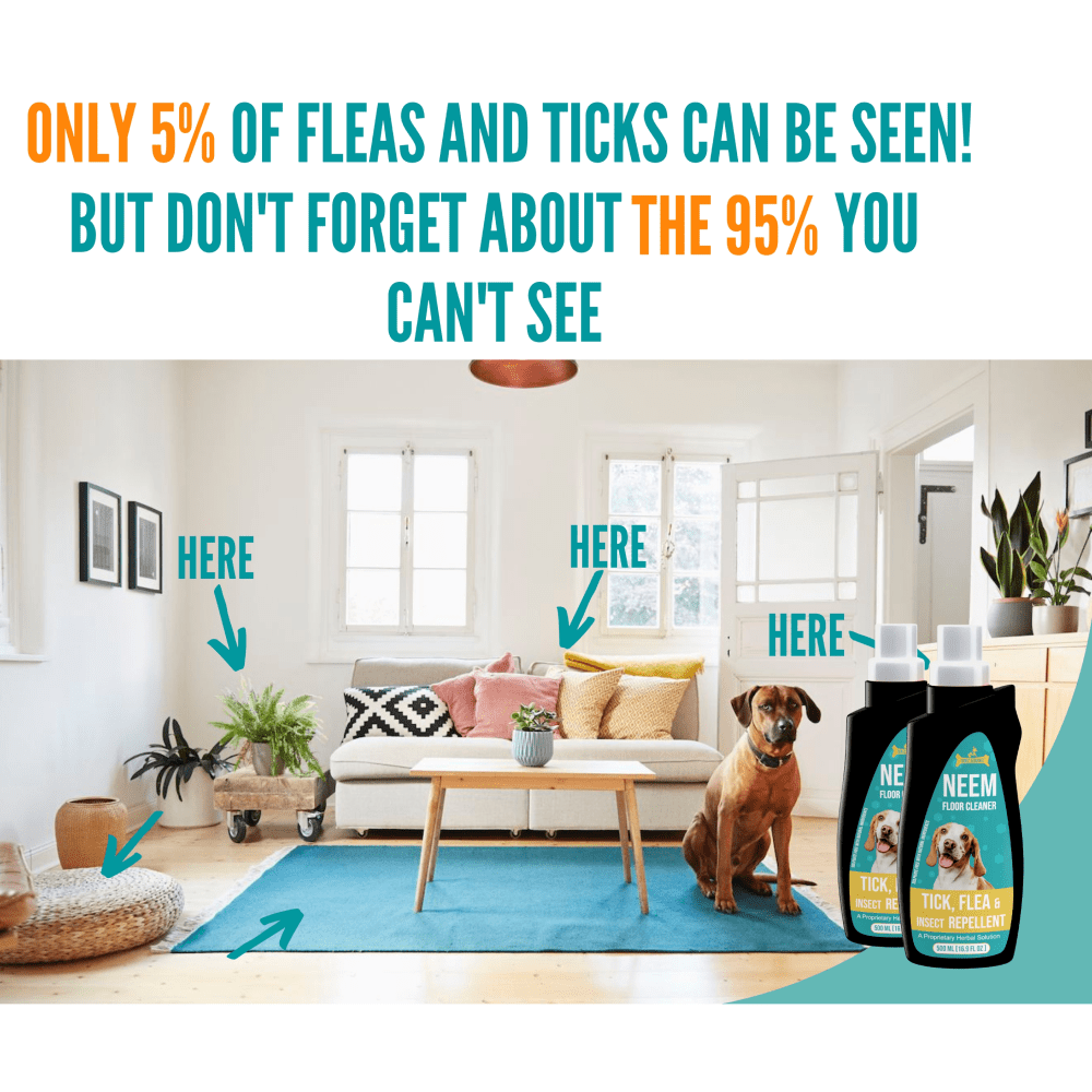DOGZ & DUDEZ Tick and Flea Repellent Floor Cleaner for Dogs and Cats
