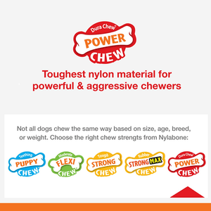 Nylabone Puppy Teething Chicken Flavoured Power Chew Dental Dinosaur Toy for Dogs (White)
