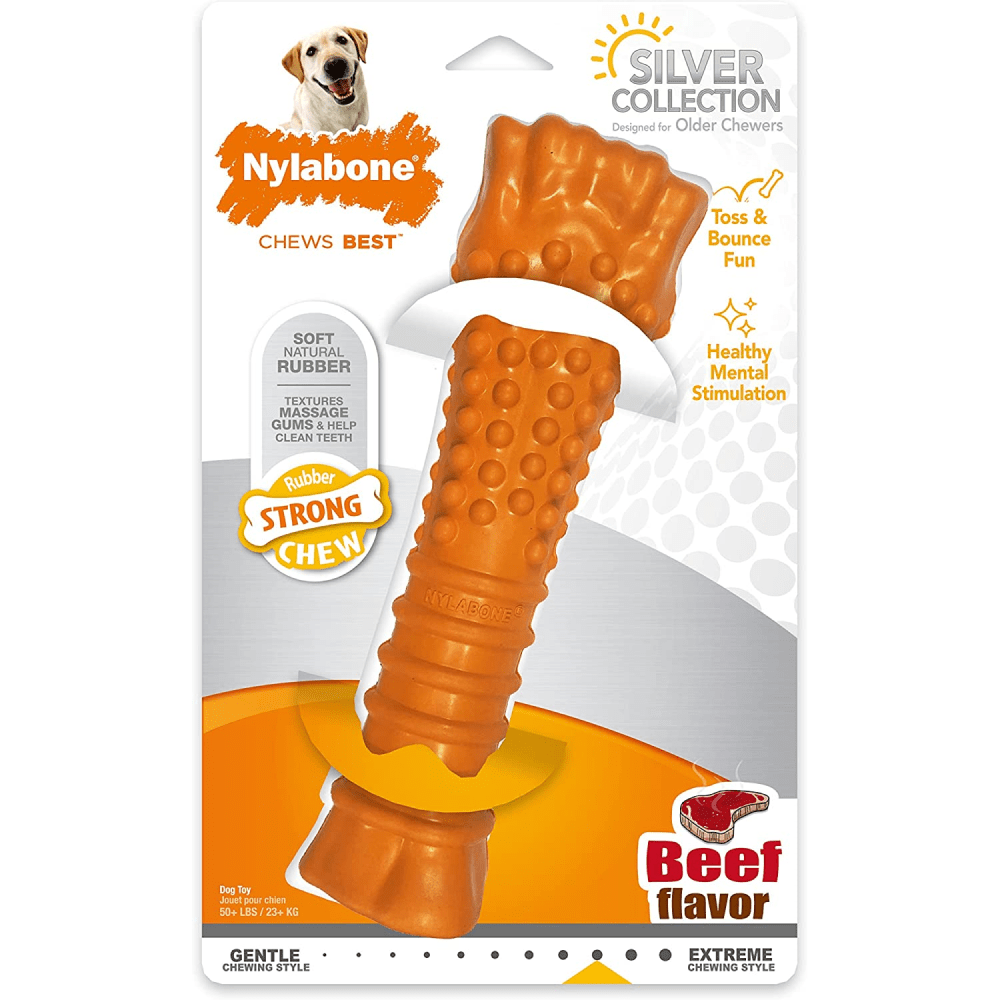 Nylabone Sliver Collection Beef Flavoured Stong Chew Toy for Dogs (Orange)