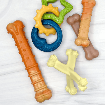 Nylabone Bacon Flavoured Puppy Chew Teething Ring Toy for Dogs (Green, Yellow, Blue)