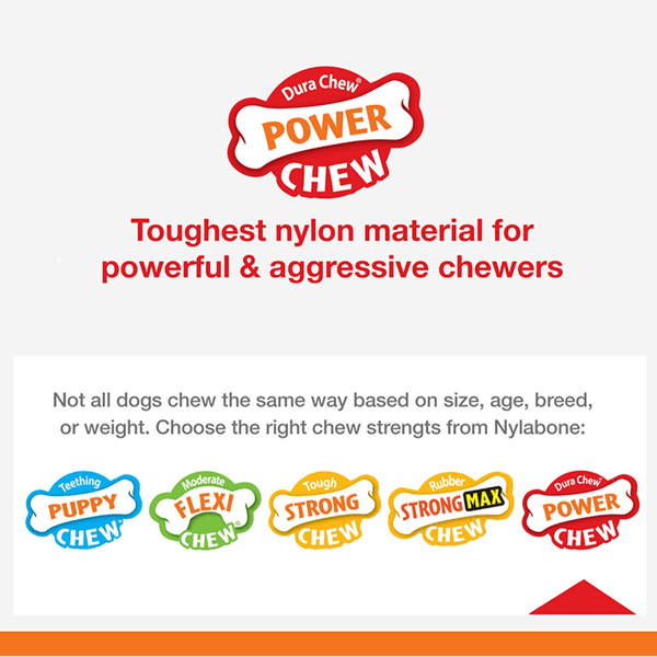 Nylabone Medley Flavoured Textured Power Chew Bone Toy for Dogs (Brown)