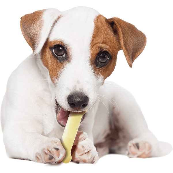 Nylabone Original Flavoured Power Chew Textured Bone (Beige)