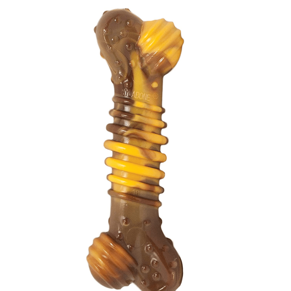 Nylabone Power Chew Flavor Frenzy Textured Bone Toy for Dogs (Yellow, Brown)